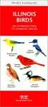 Illinois Birds: A Folding Pocket Guide to Familiar Species