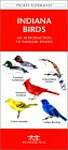 Indiana Birds: A Folding Pocket Guide to Familiar Species