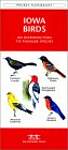 Iowa Birds: A Folding Pocket Guide to Familiar Species
