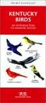 Kentucky Birds: A Folding Pocket Guide to Familiar Species