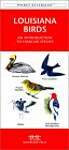 Louisana Birds: A Folding Pocket Guide to Familiar Species