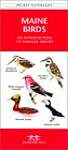 Maine Birds: A Folding Pocket Guide to Familiar Species