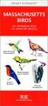 Massachusetts Birds: A Folding Pocket Guide to Familiar Species