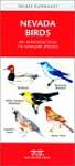 Nevada Birds: A Folding Pocket Guide to Familiar Species