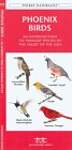 Phoenix Birds: A Folding Pocket Guide to Familiar Species in the Valley of the Sun