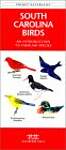 South Carolina Birds: A Folding Pocket Guide to Familiar Species