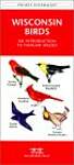 Wisconsin Birds: A Folding Pocket Guide to Familiar Species