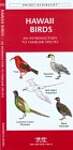 Hawaii Birds: A Folding Pocket Guide to Familiar Species