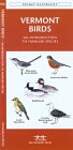 Vermont Birds: A Folding Pocket Guide to Familiar Species