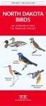 North Dakota Birds: An Introduction to Familiar Species