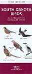 South Dakota Birds: An Introduction to Familiar Species