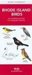 Rhode Island Birds: An Introduction to Familiar Species
