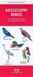 Mississippi Birds: An Introduction to Familiar Species