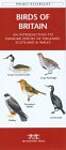 Birds of Britain: An Introduction to Familiar Species of England, Scotland  Wales