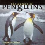 The Nature of Penguins