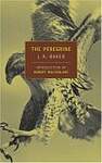 The Peregrine