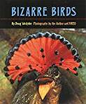 Bizarre Birds
