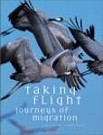Taking Flight