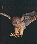 Flight of the Falcon