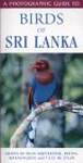 Birds of Sri Lanka: A Photographic Guide