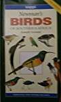 Newman's Birds of Southern Africa