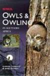 Owls  Owling in Southern Africa