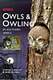 Owls  Owling in Southern Africa