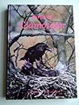 Birds of Glamorgan