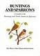Buntings and Sparrows