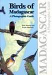 Birds of Madagascar: A Photographic Guide