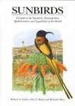 Sunbirds: A Guide to the Sunbirds, Spiderhunters, Sugarbirds and Flowerpeckers of the World
