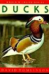 Ducks