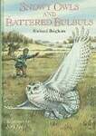 Snowy Owls  Battered Bulbuls