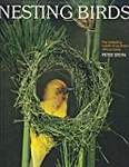 Nesting Birds: The Breeding Habits of Southern African Birds