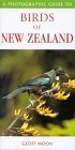 A Photographic Guide to Birds of New Zealand