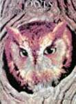 Owls: A Portrait of the Animal World