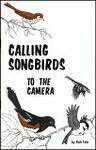 Calling Songbirds: To the Camera