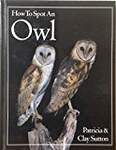 How to Spot an Owl