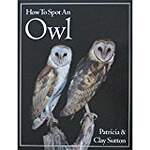 How to Spot an Owl