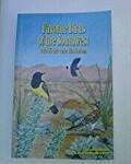 Favorite Birds of the Southwest