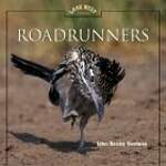 Roadrunners
