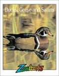 Ducks, Geese  Swans