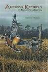 American Kestrels in Modern Falconry