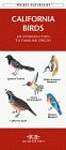 California Birds: An Introduction to Familiar Species