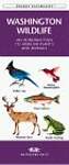Washington Wildlife: An Introduction to Familiar Species