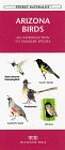 Arizona Birds: An Introduction to Familiar Species