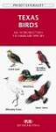 Texas Birds: An Introduction to Familiar Species