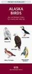 Alaska Birds: An Introduction to Familiar Species