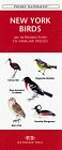 New York Birds: An Introduction to Familiar Species