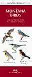 Montana Birds: An Introduction to Familiar Species (Pocket Naturalist)